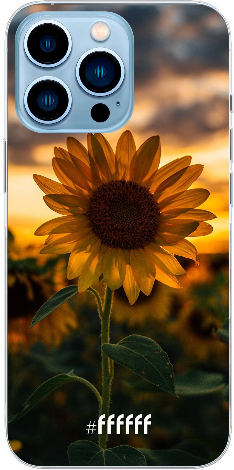 Sunset Sunflower iPhone 13 Pro