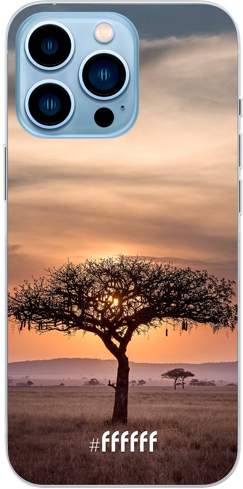 Tanzania iPhone 13 Pro