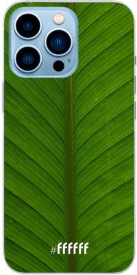 Unseen Green iPhone 13 Pro
