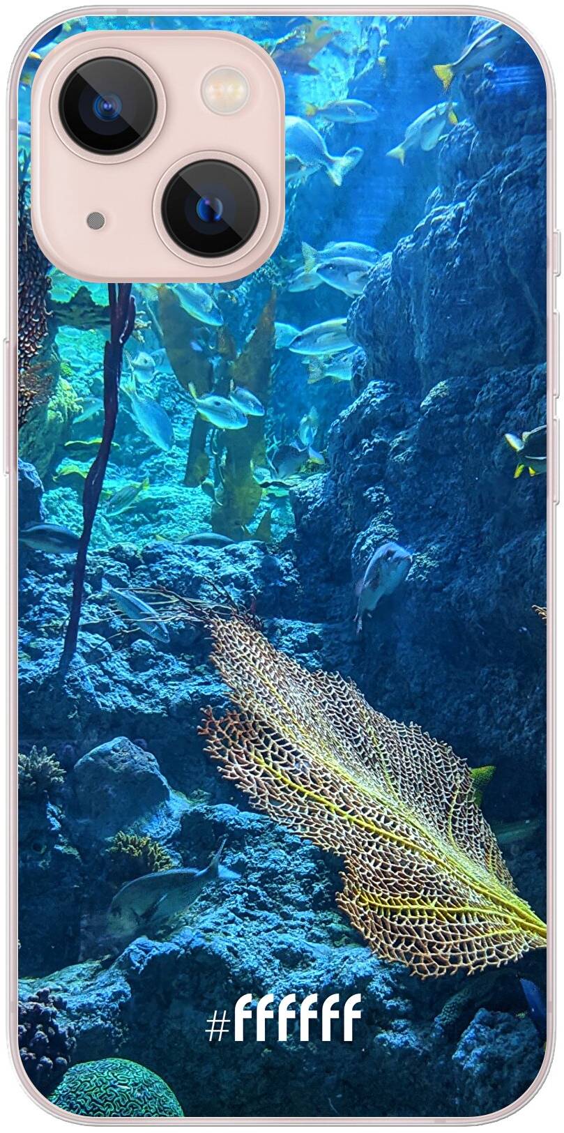 Coral Reef iPhone 13