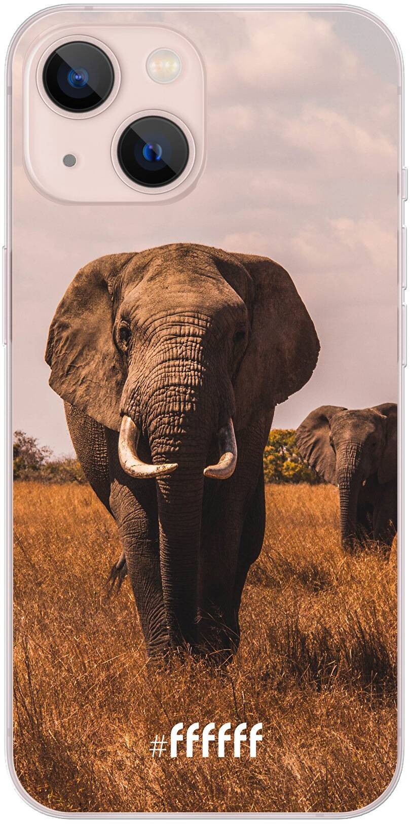Elephants iPhone 13