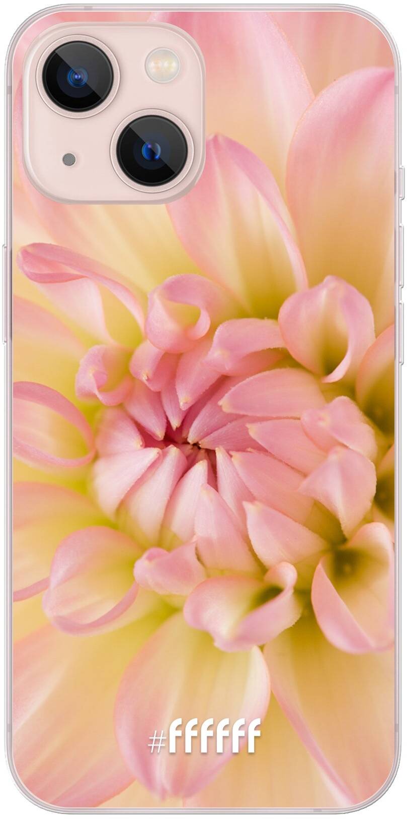 Pink Petals iPhone 13