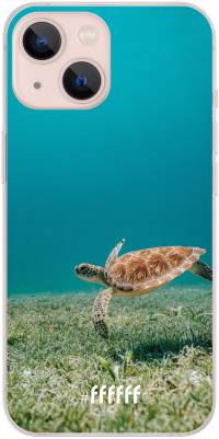 Turtle iPhone 13