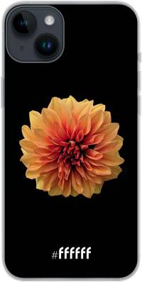 Butterscotch Blossom iPhone 14 Plus
