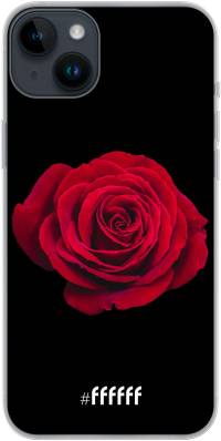 Radiant Rose iPhone 14 Plus