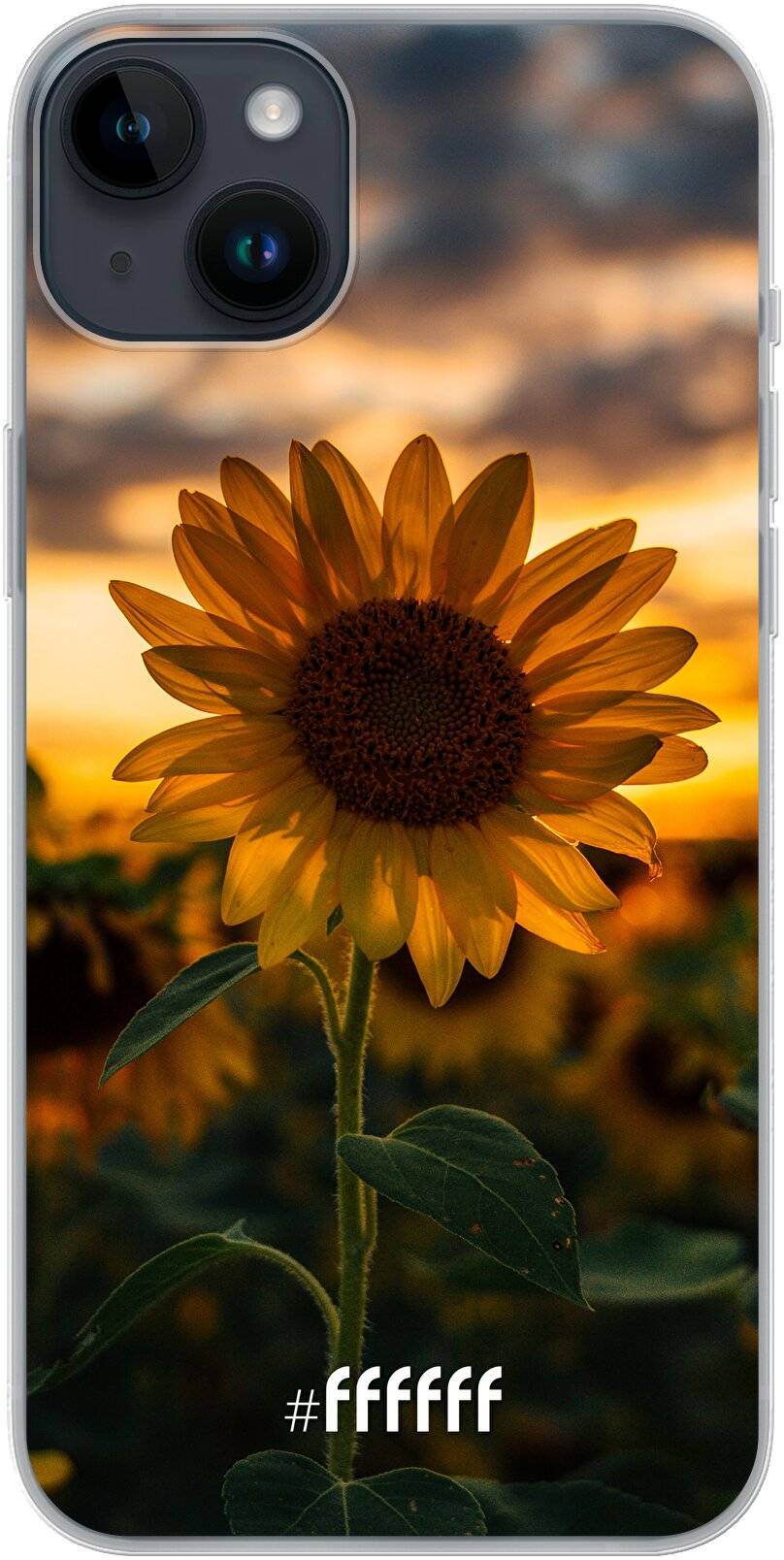 Sunset Sunflower iPhone 14 Plus