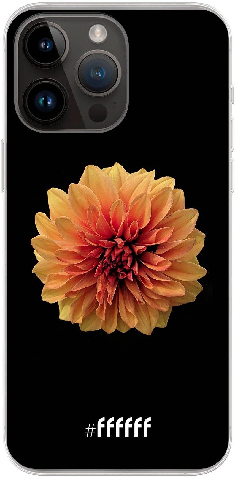 Butterscotch Blossom iPhone 14 Pro Max