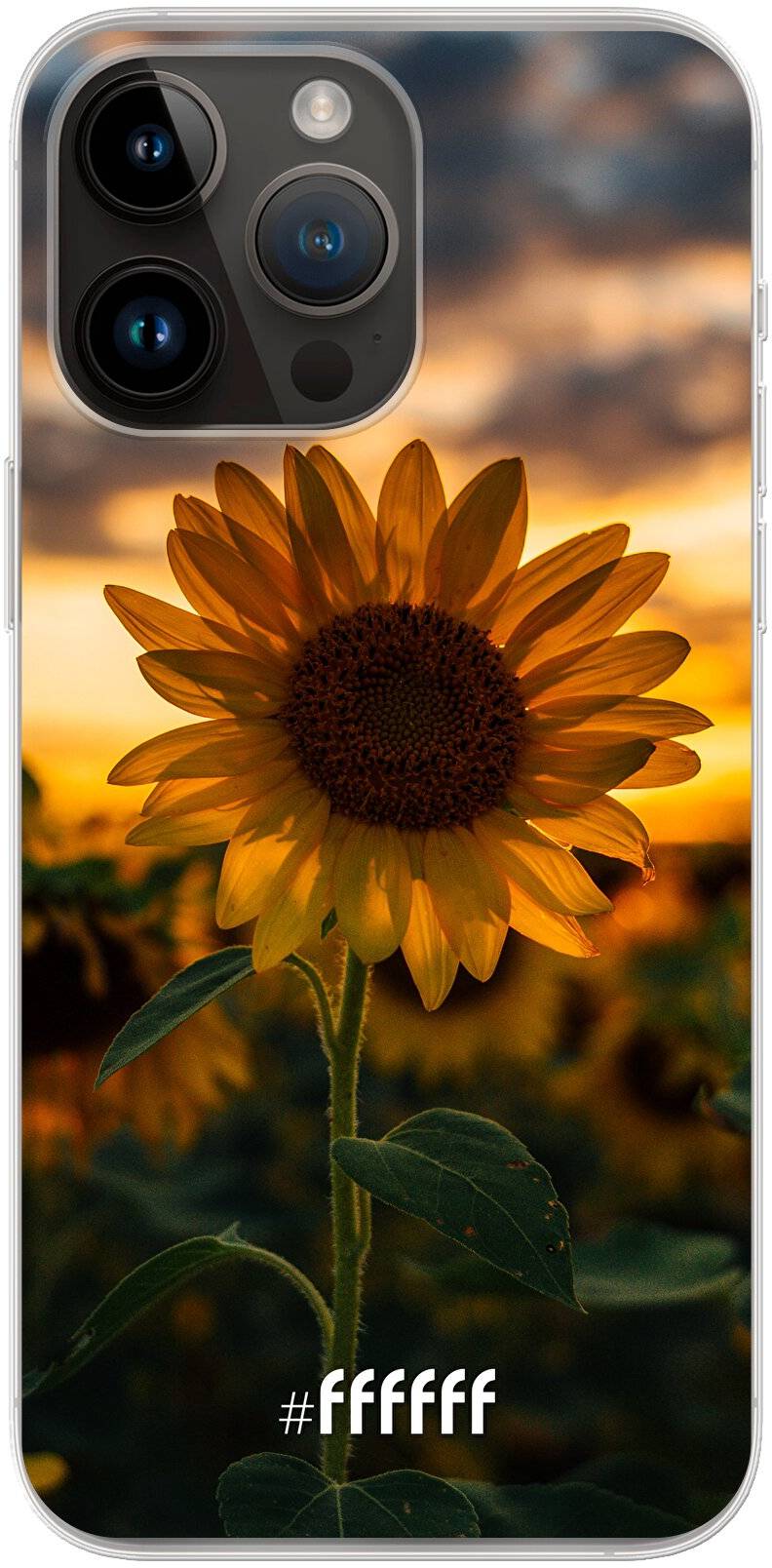 Sunset Sunflower iPhone 14 Pro Max