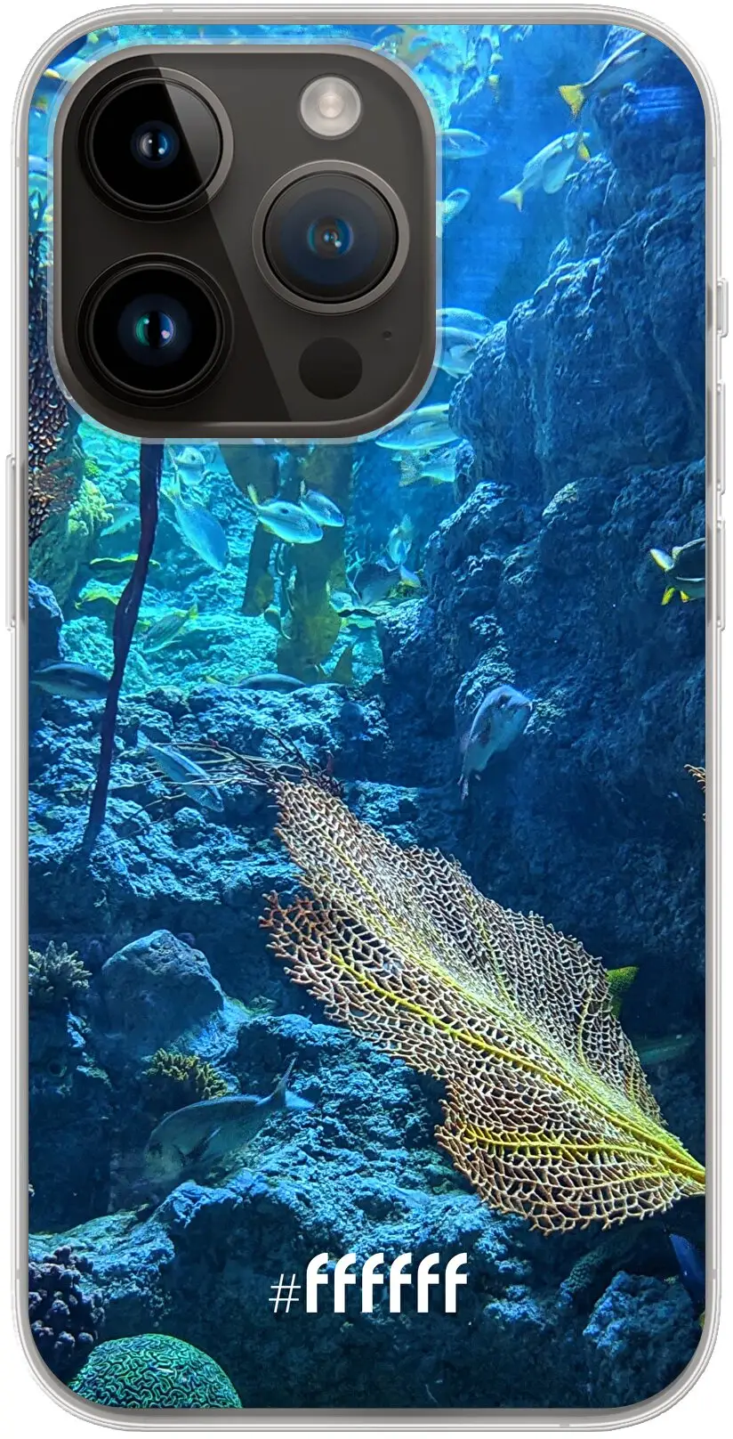 Coral Reef iPhone 14 Pro