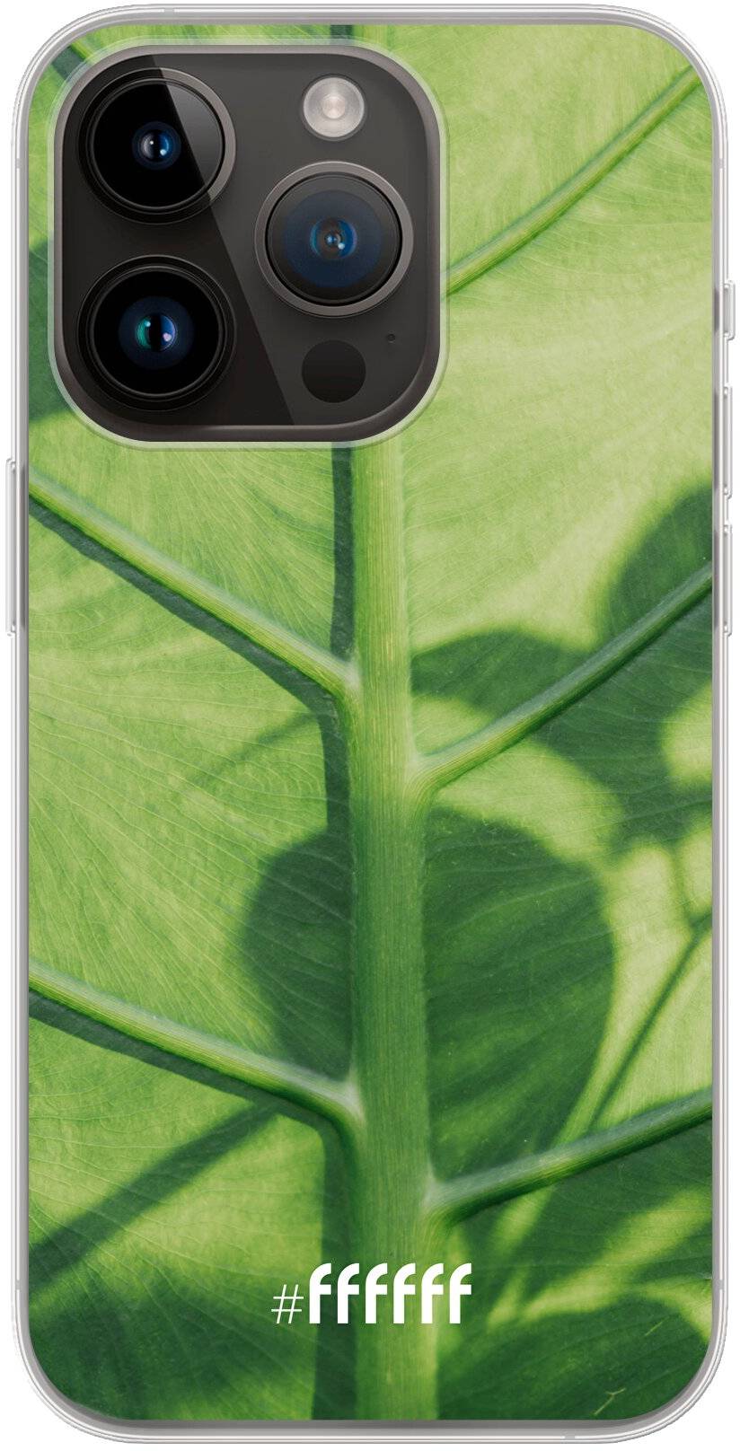 Leaves Macro iPhone 14 Pro