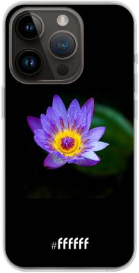 Purple Flower in the Dark iPhone 14 Pro