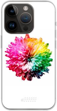 Rainbow Pompon iPhone 14 Pro