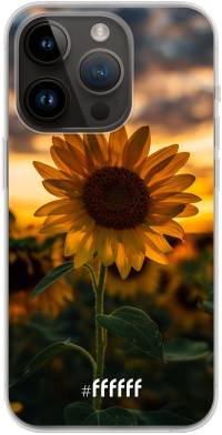 Sunset Sunflower iPhone 14 Pro