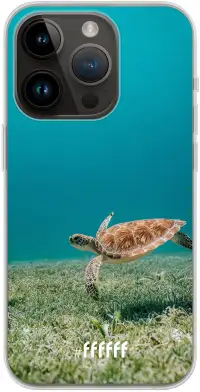 Turtle iPhone 14 Pro