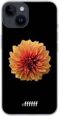 Butterscotch Blossom iPhone 14