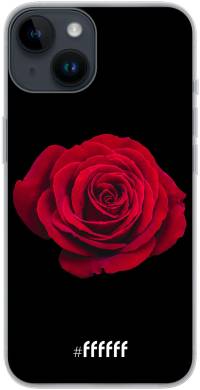 Radiant Rose iPhone 14