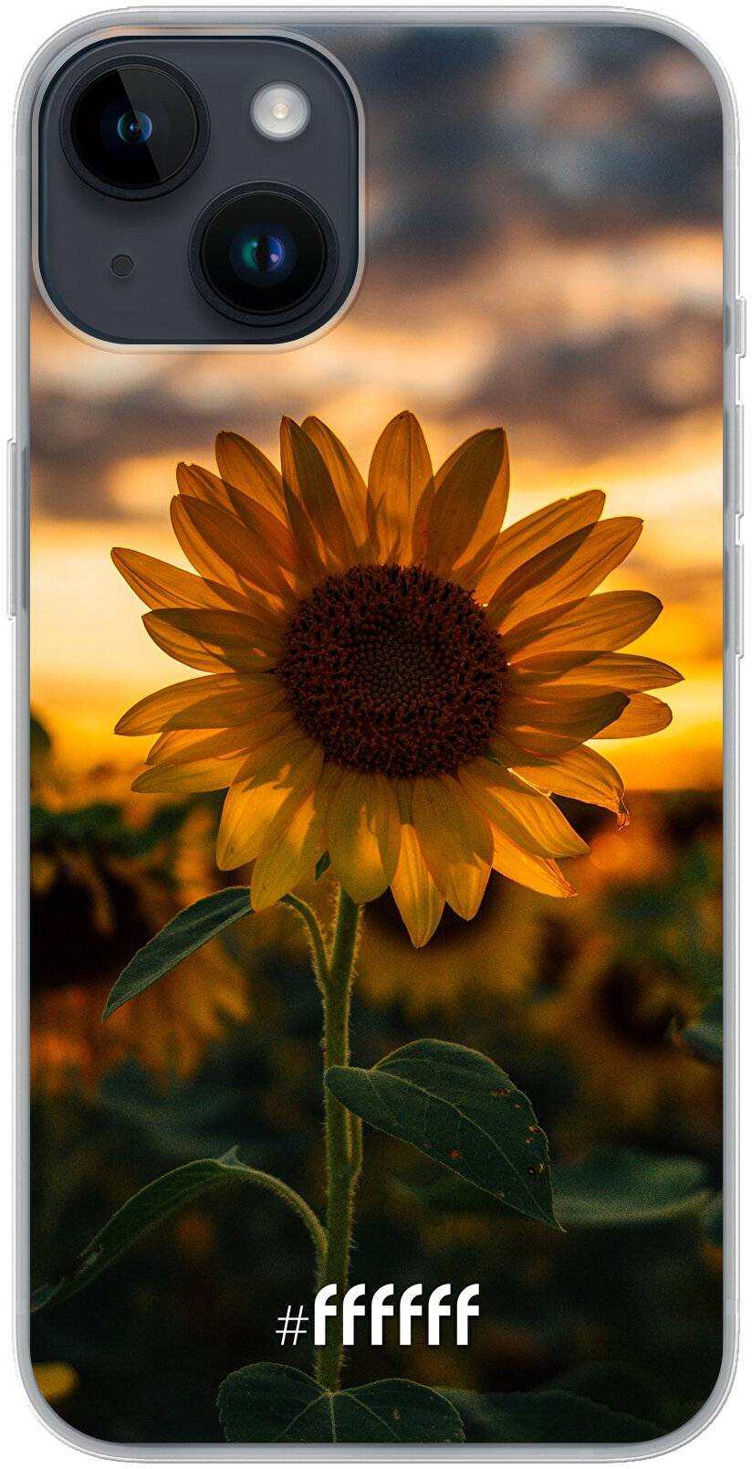 Sunset Sunflower iPhone 14