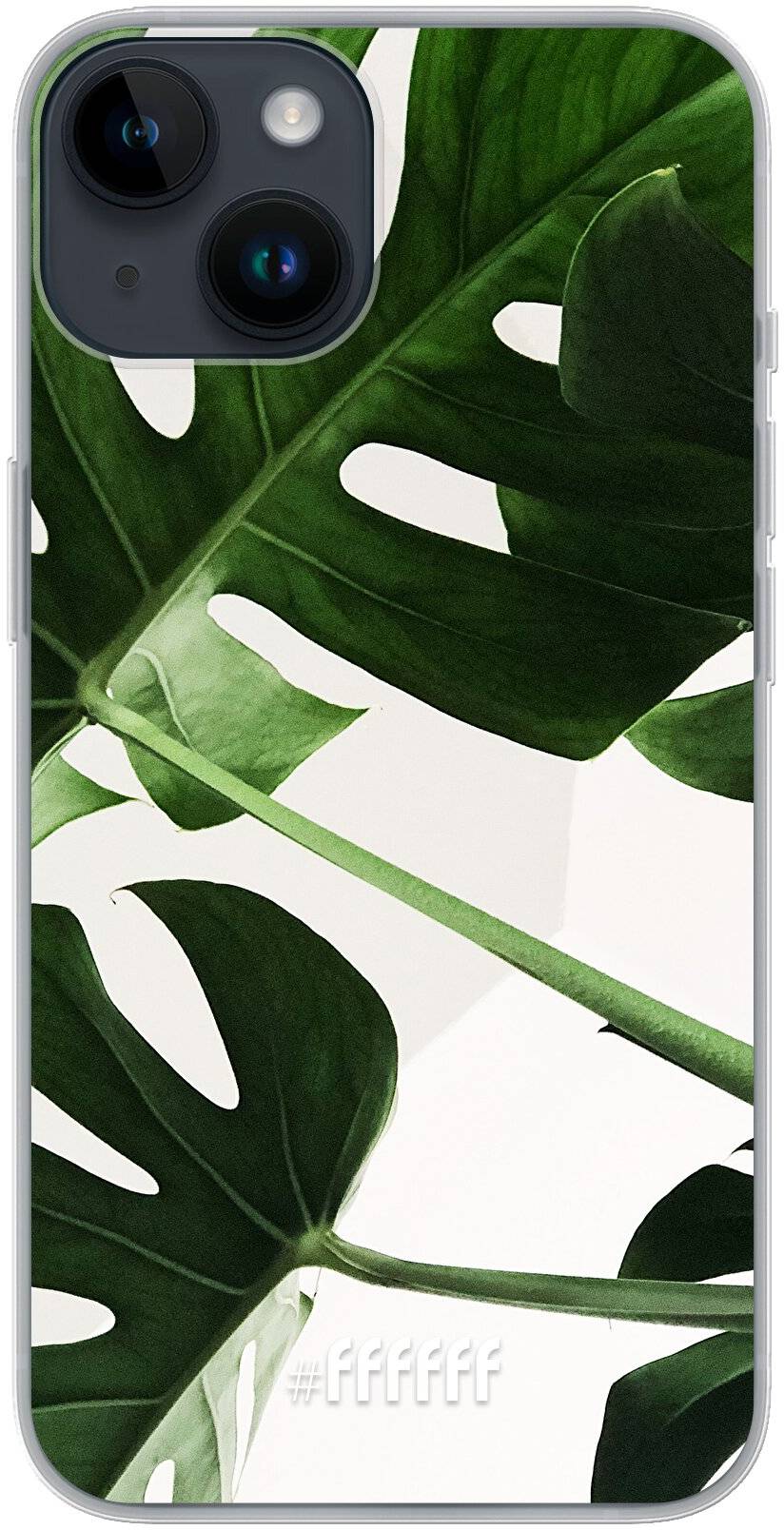 Tropical Plants iPhone 14