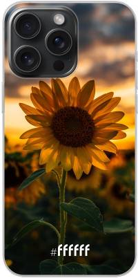 Sunset Sunflower iPhone 15 Pro Max