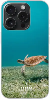 Turtle iPhone 15 Pro