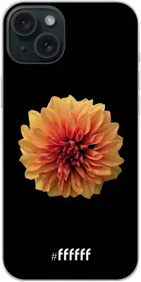 Butterscotch Blossom iPhone 15 Plus