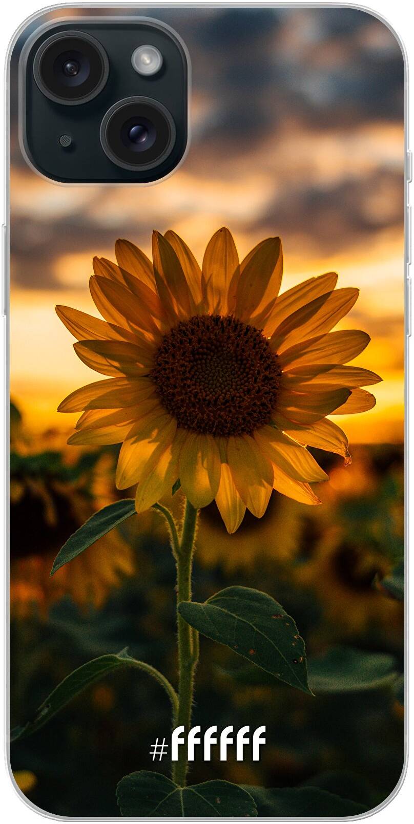 Sunset Sunflower iPhone 15 Plus