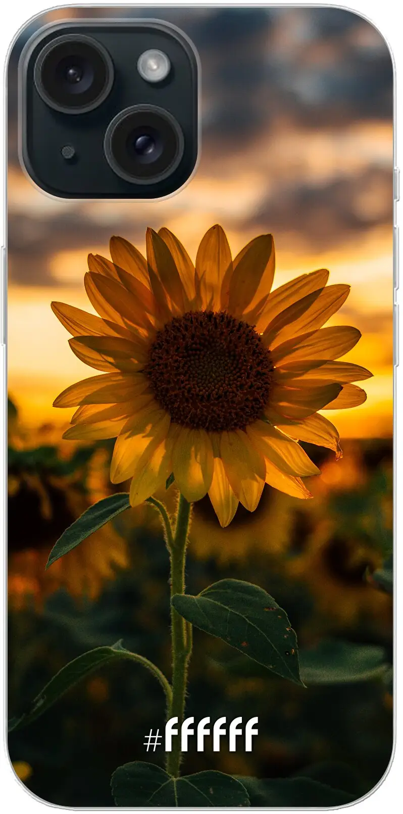 Sunset Sunflower iPhone 15