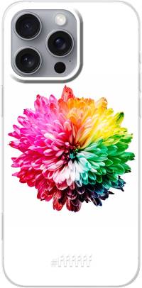 Rainbow Pompon iPhone 16 Pro Max