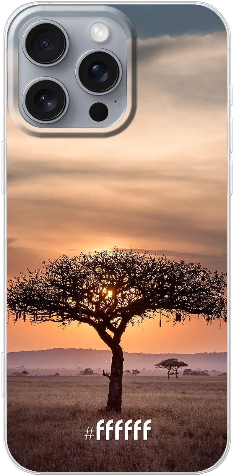 Tanzania iPhone 16 Pro Max