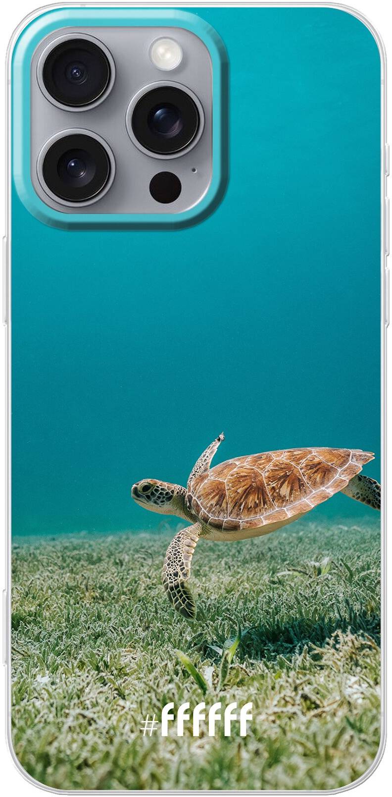 Turtle iPhone 16 Pro Max