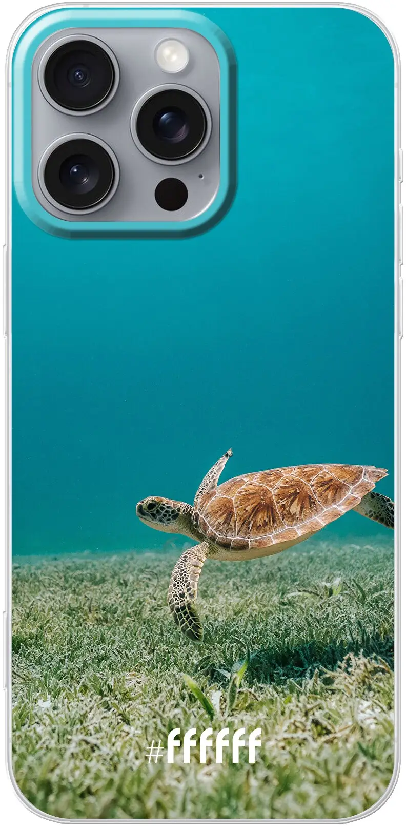 Turtle iPhone 16 Pro Max