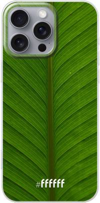 Unseen Green iPhone 16 Pro Max