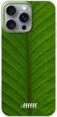 Unseen Green iPhone 16 Pro Max