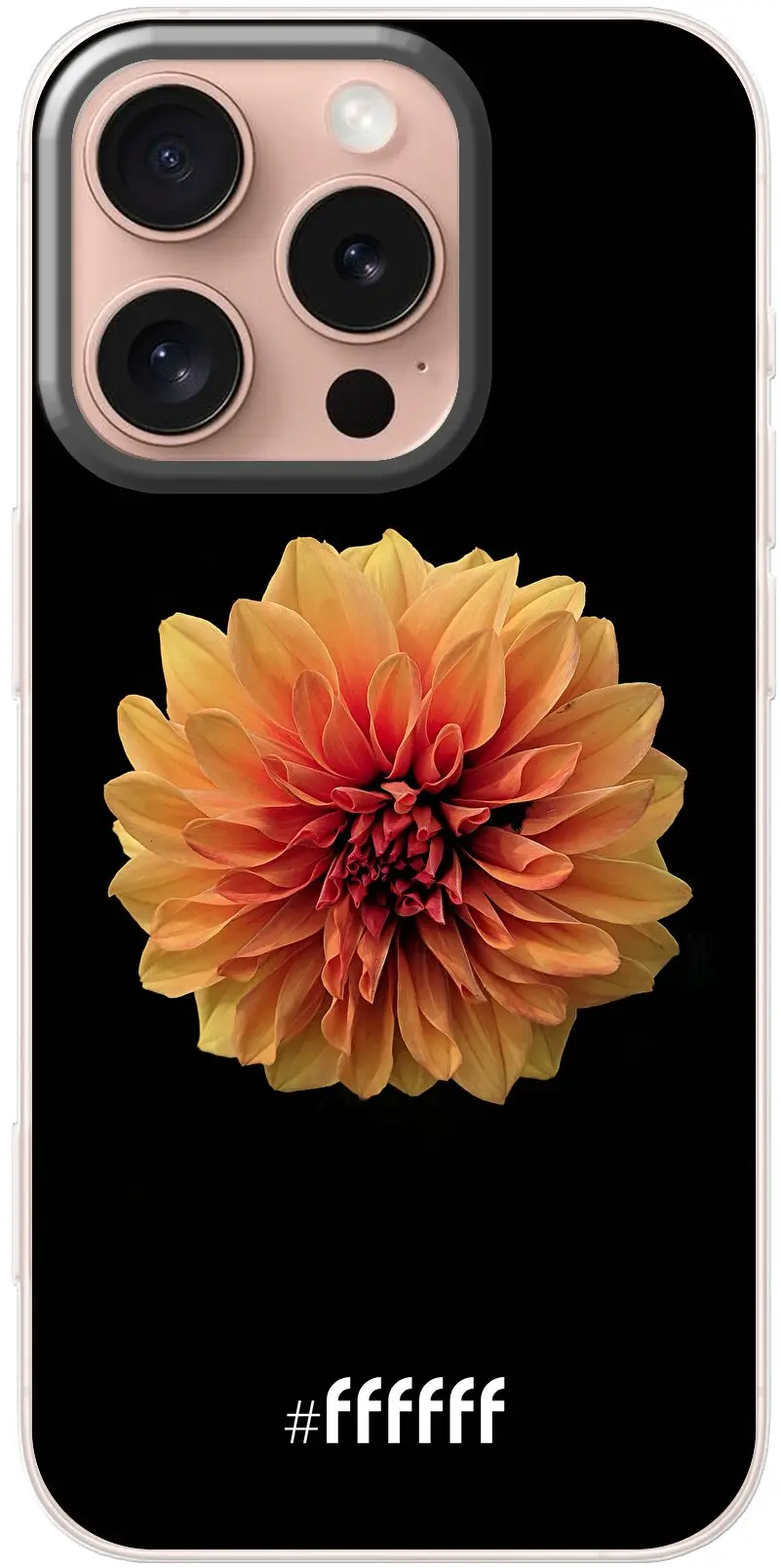 Butterscotch Blossom iPhone 16 Pro