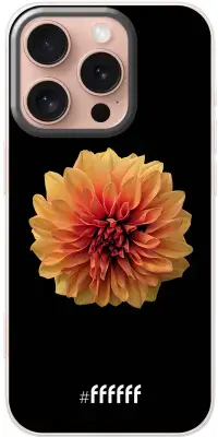 Butterscotch Blossom iPhone 16 Plus