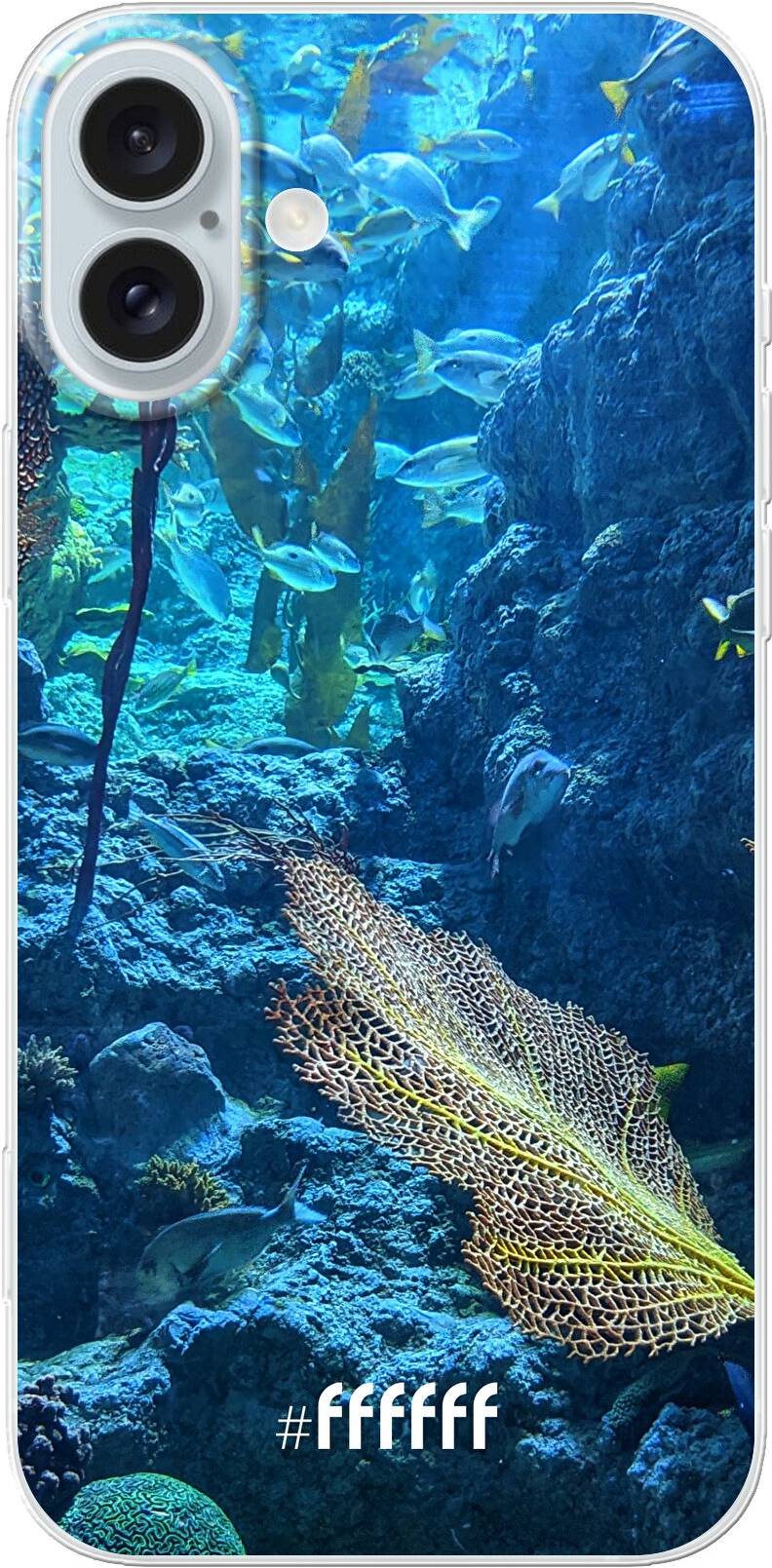 Coral Reef iPhone 16 Pro