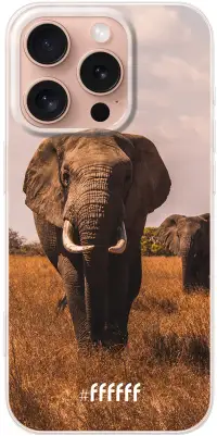 Elephants iPhone 16 Pro