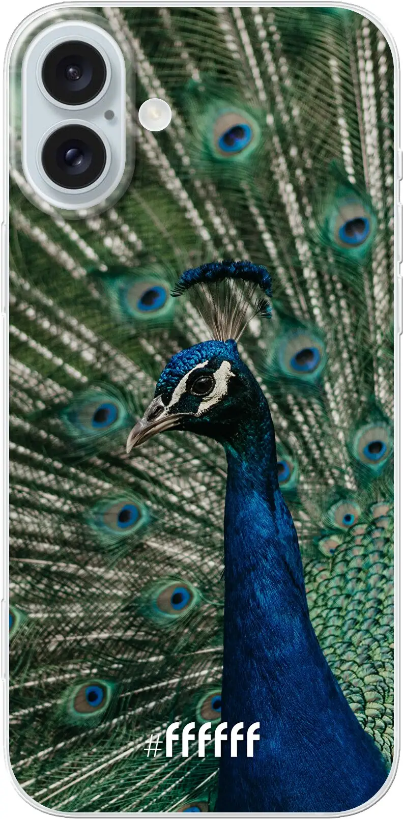 Peacock iPhone 16 Plus