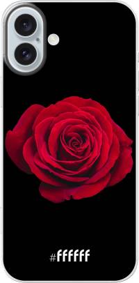 Radiant Rose iPhone 16 Plus