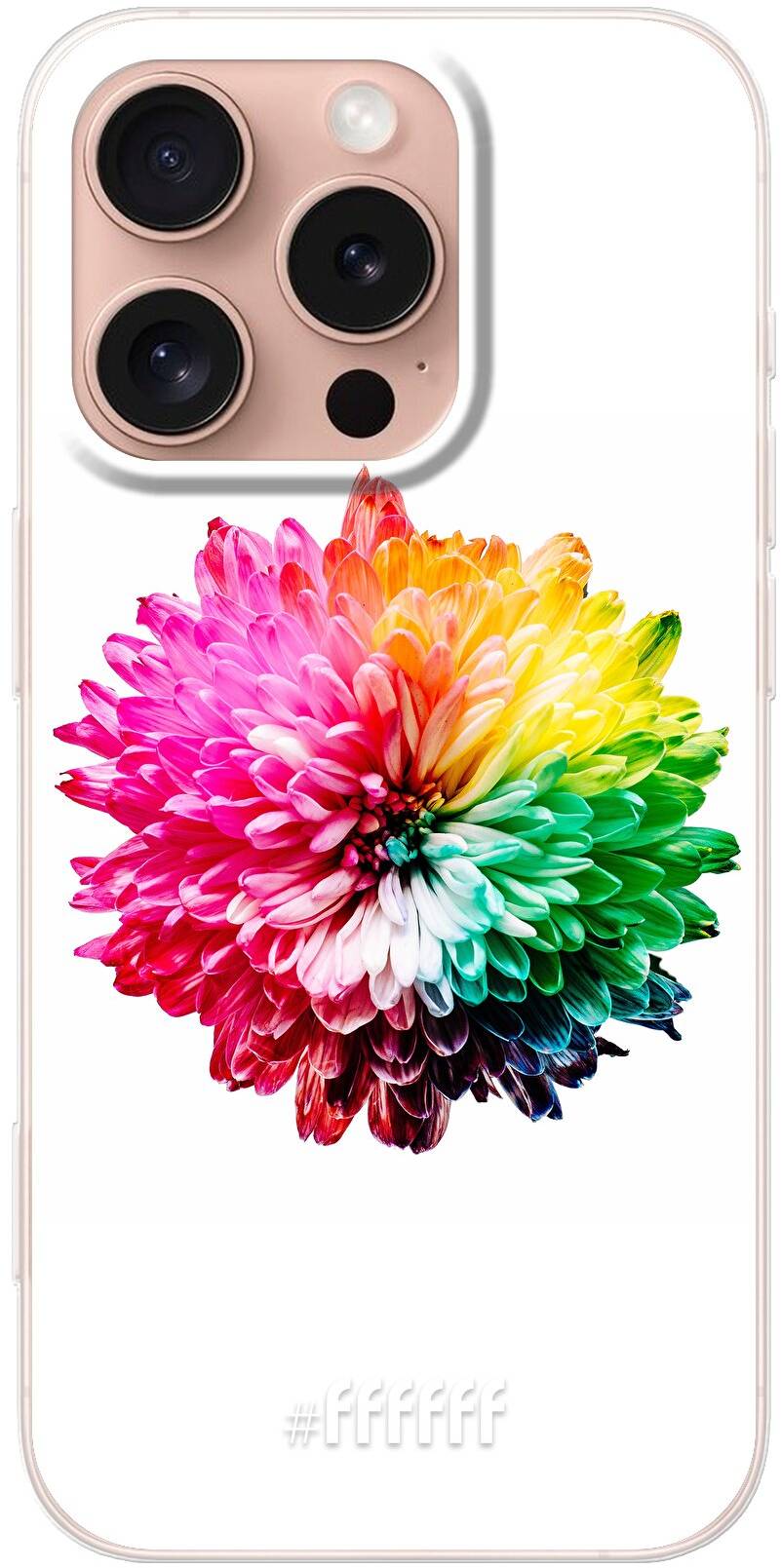 Rainbow Pompon iPhone 16 Plus