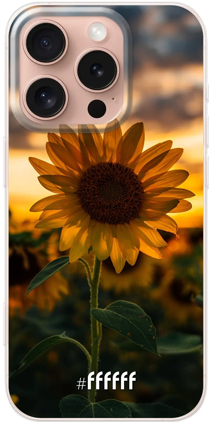 Sunset Sunflower iPhone 16 Plus