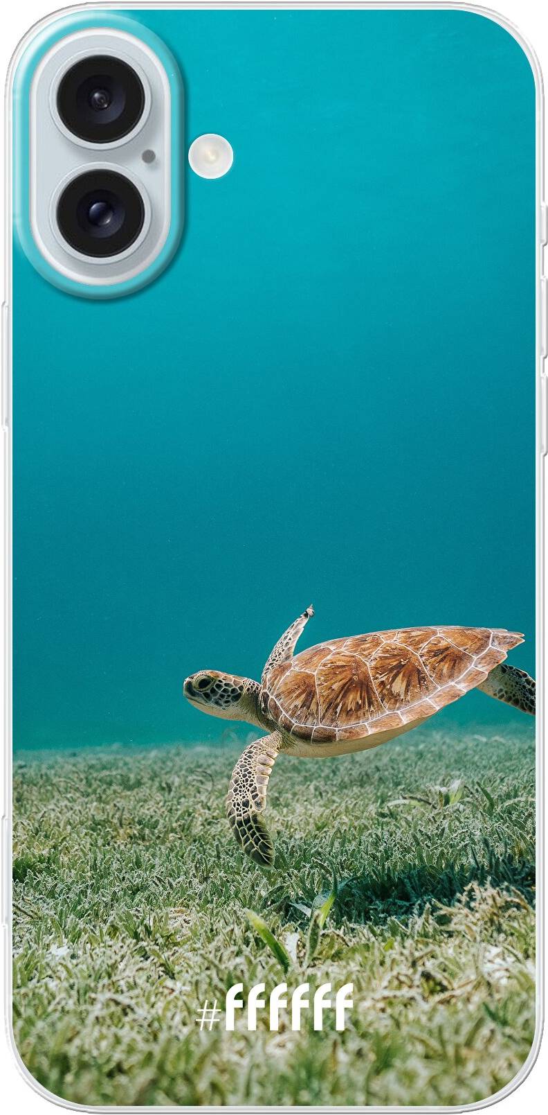 Turtle iPhone 16 Pro