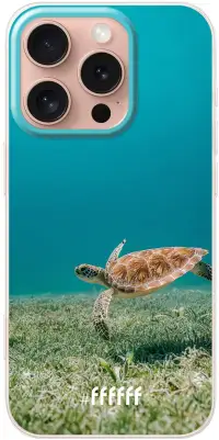 Turtle iPhone 16 Pro