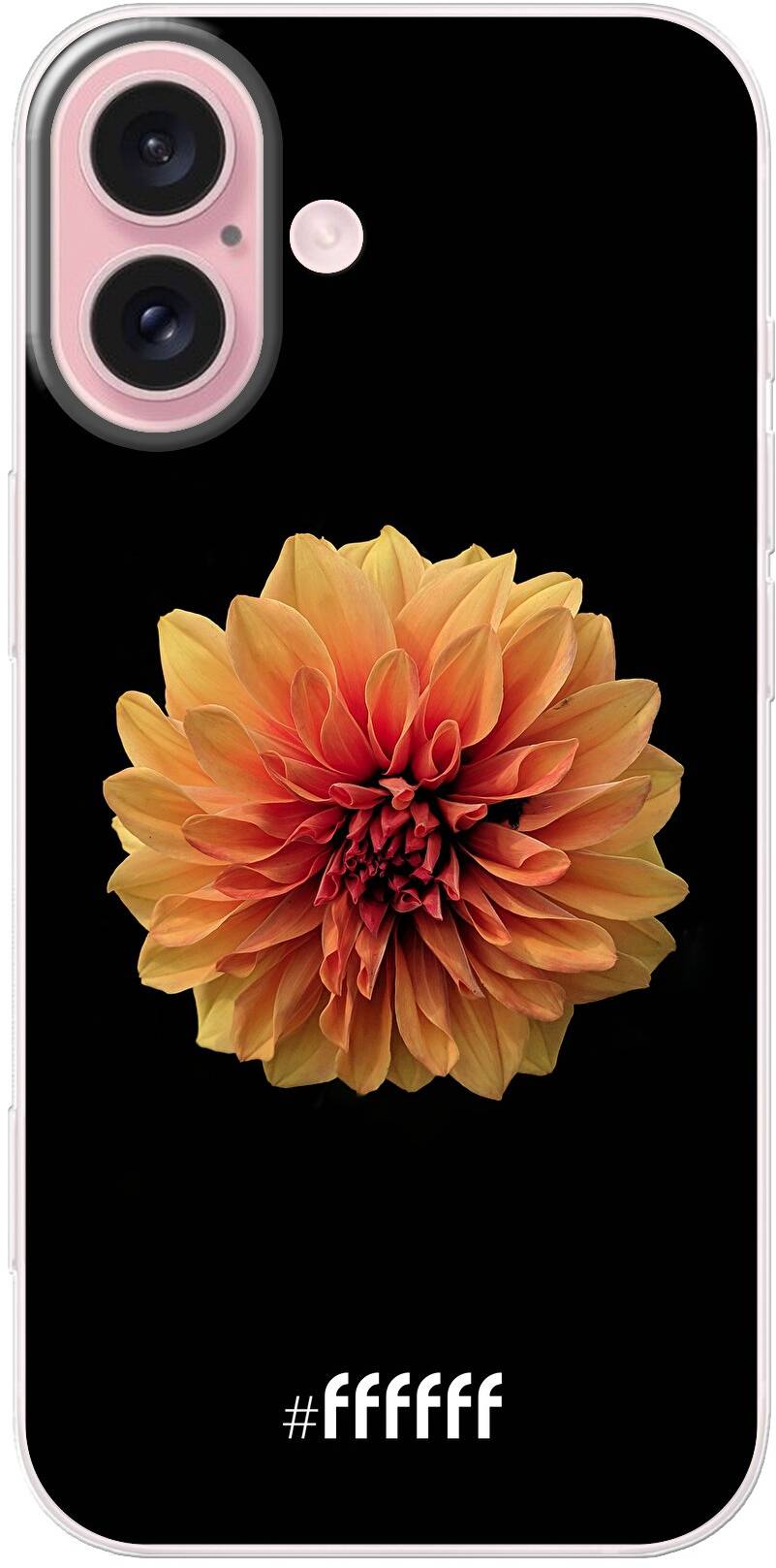 Butterscotch Blossom iPhone 16