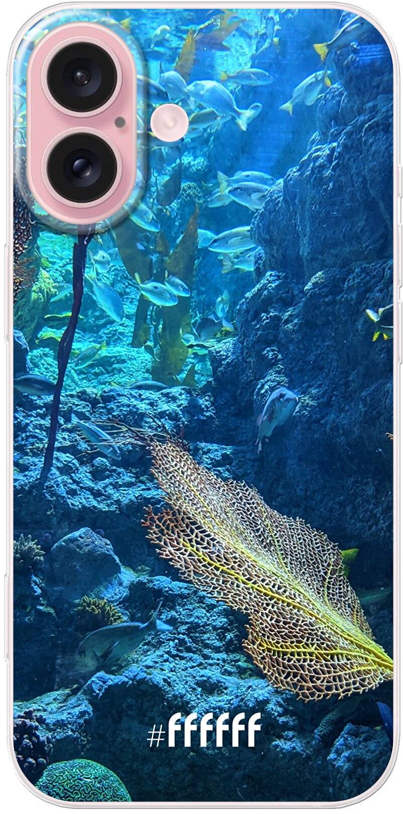 Coral Reef iPhone 16