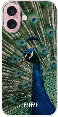 Peacock iPhone 16