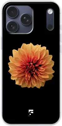 Butterscotch Blossom iPhone 17 Pro Max