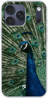 Peacock iPhone 17 Pro Max