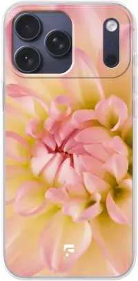 Pink Petals iPhone 17 Pro Max