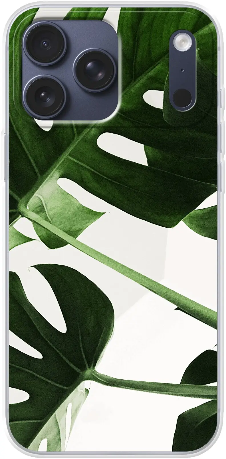 Tropical Plants iPhone 17 Pro Max